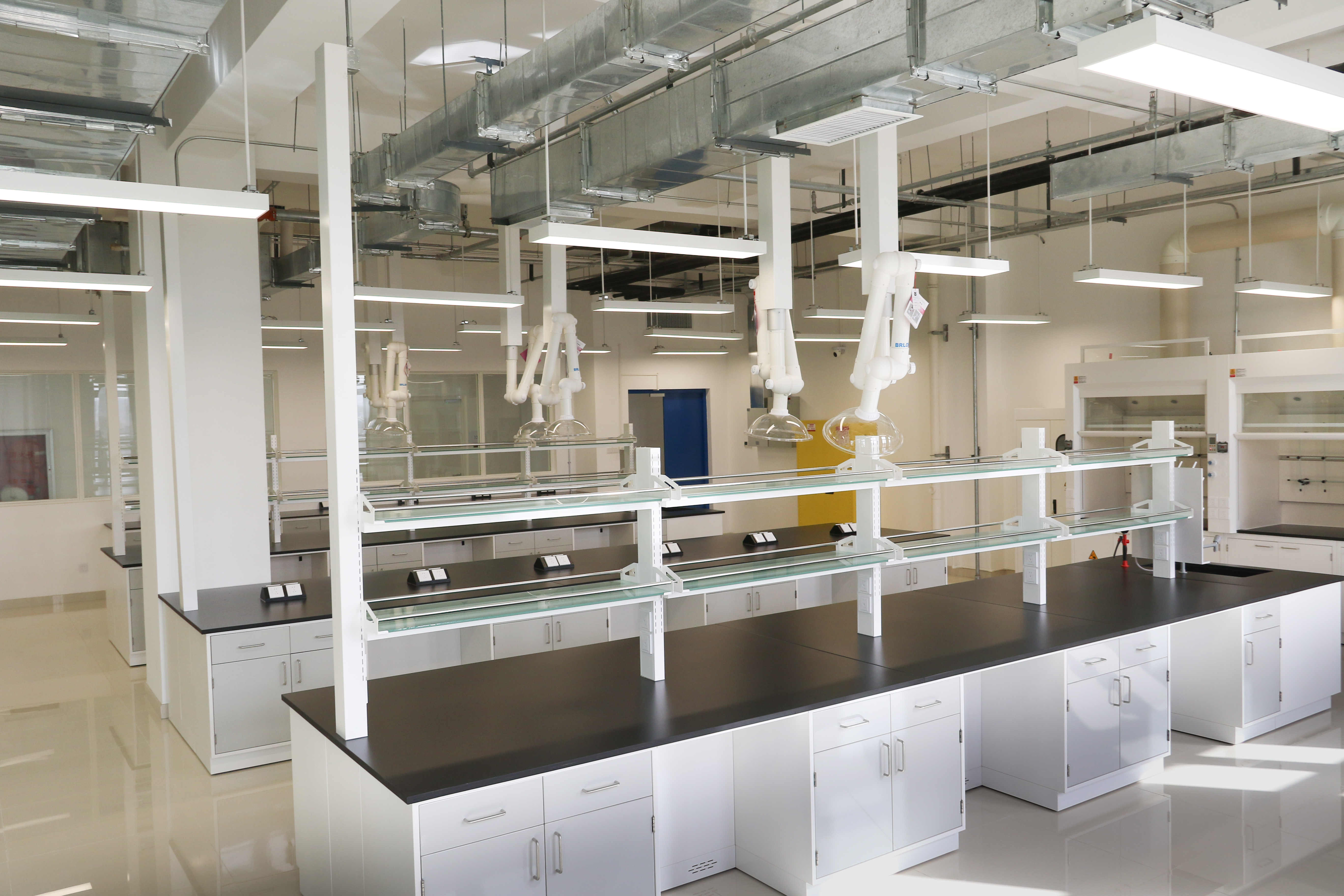 के बारे में नवीनतम कंपनी का मामला बीजिंग प्रोसेस इंस्टीट्यूट प्रयोगशाला फर्नीचर प्रयोगशाला प्रयोगशाला वेंटिलेशन कैबिनेट